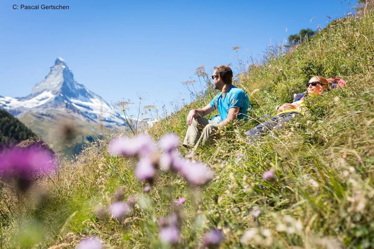 Hikers on hillside viewing Matterhorn